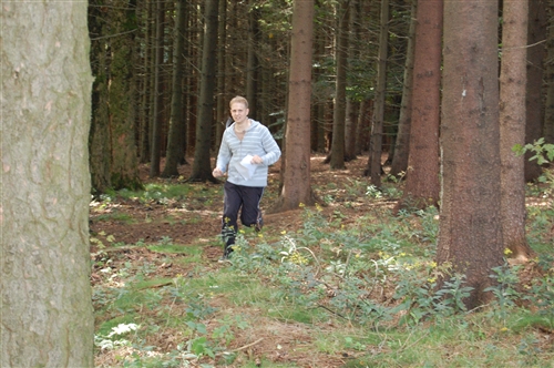Obrázek v galerii
